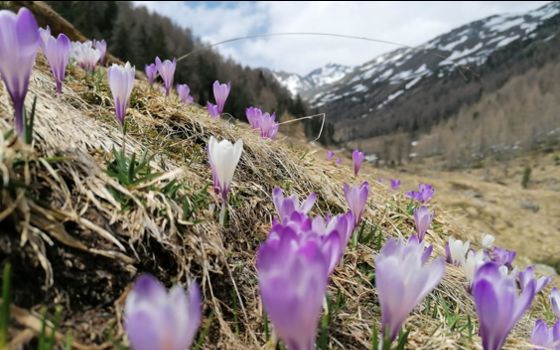 Frühling