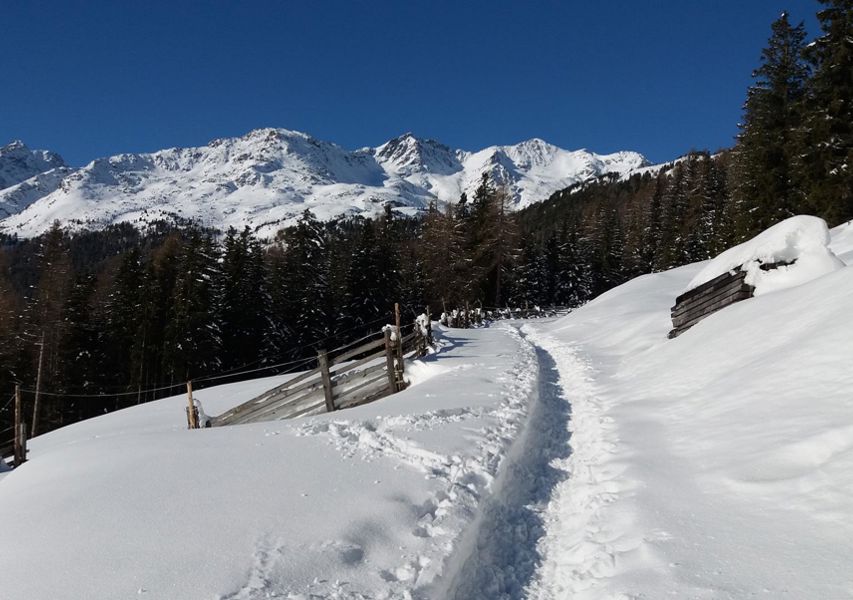 Vacanza attiva in Val d'Ultimo in inverno