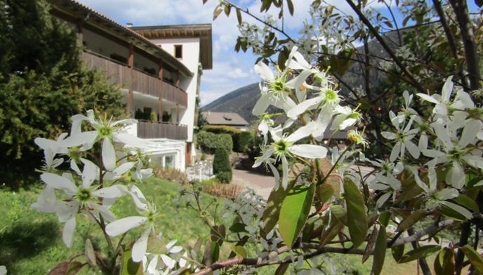 Hotel Unterpichl in primavera