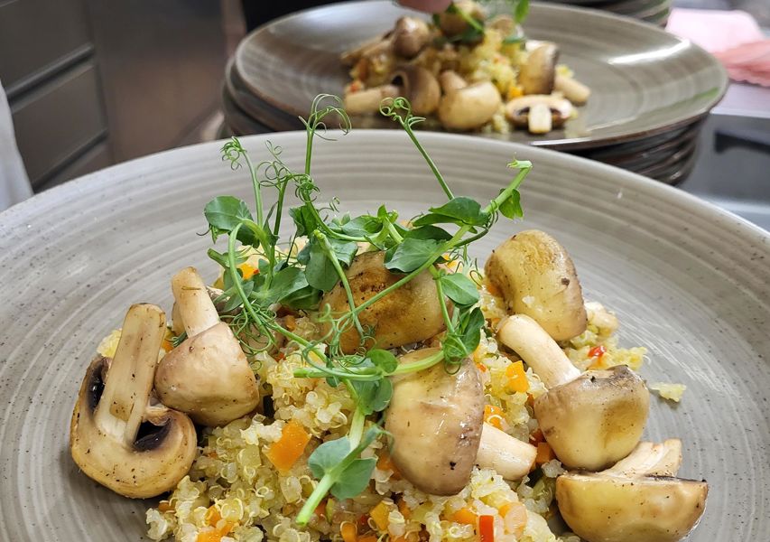 genuss-gesundes-essen-2