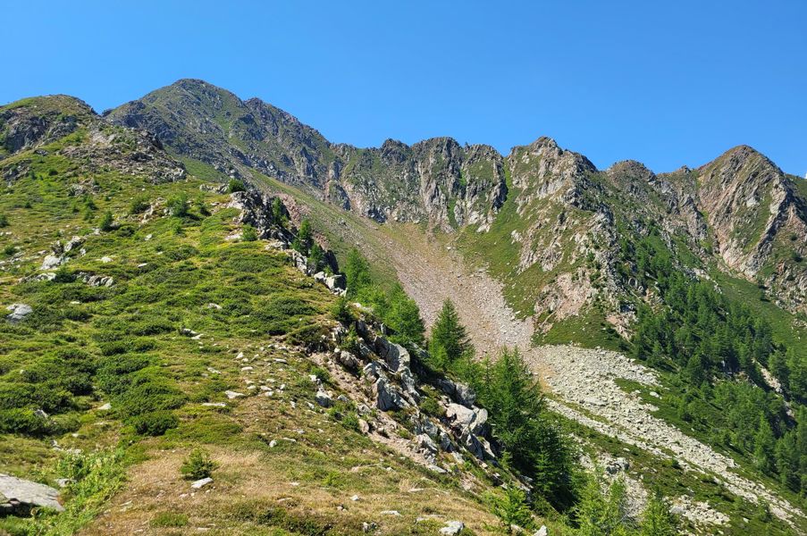20220720-122633-kopie-kopie
