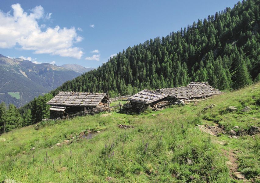 La malga Seegruben Alm in Val d'Ultimo