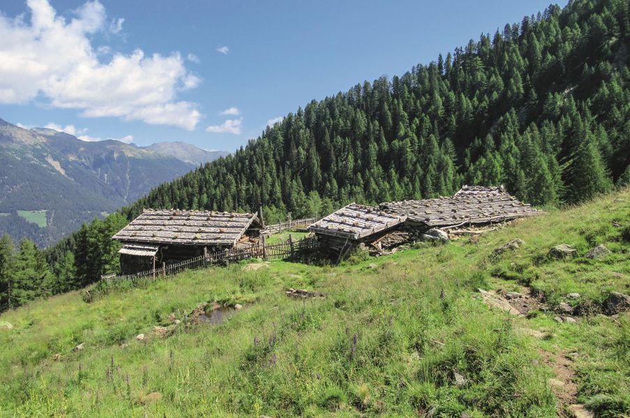 The Seegruben Alm mountain pasture in Val d'Ultimo