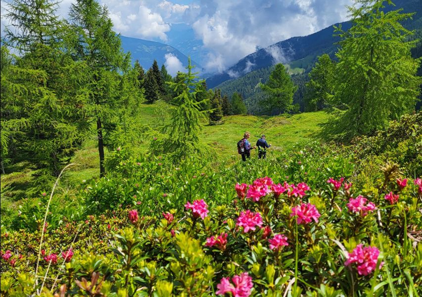 Wanderurlaub im Ultental