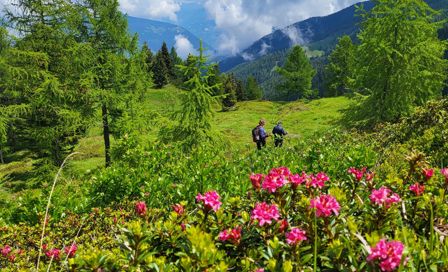 Hiking vacation in Val d'Ultimo