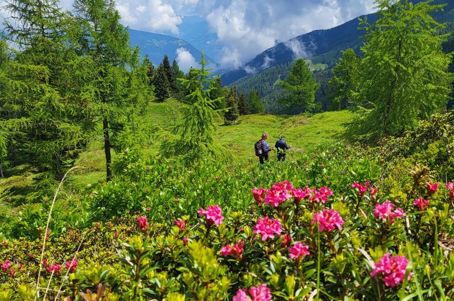 Hiking vacation in Val d'Ultimo